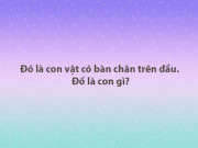 Giáo dục - du học - 10 câu đố giúp bạn rèn luyện trí não một cách dễ dàng nhất