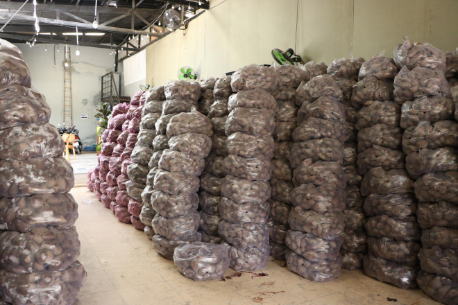 Hơn 100 tấn khoai mỗi ngày được anh Thành và bạn mua từ Đồng Tháp, Vĩnh Long về tập kết để hỗ trợ bà con nông dân về đầu ra cho nông sản.