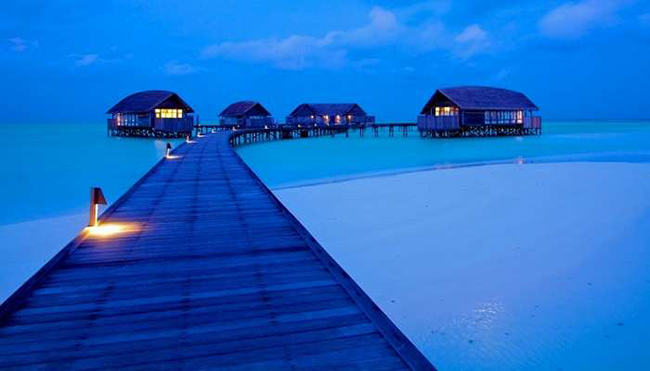 Đảo Cocoa ở Maldives: Trong số rất nhiều bãi biển trên đảo tuyệt đẹp ở Maldives, đảo Cocoa là một trong những hòn đảo đắt đỏ nhất để ghé thăm. Vẻ đẹp mê hồn của nó với những bãi biển cát hoang sơ và làn nước xanh ngọc là nơi trải nghiệm quen thuộc của nhiều cậu ấm, cô chiêu. 
