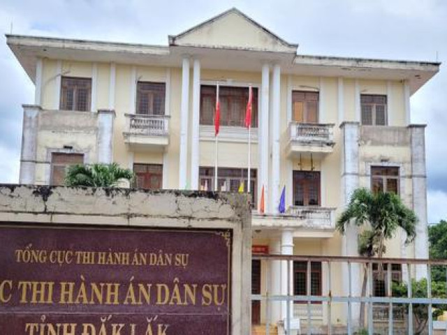 Pháp luật - Vụ đánh tráo gỗ tang vật: Cục trưởng thi hành án làm đơn xin nghỉ việc