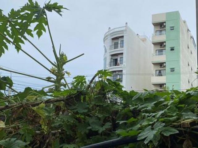 Pháp luật - Ba thiếu nữ “ra oai” dẫn đến… án mạng