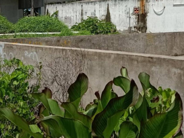 Pháp luật - Xác minh nghi án bé gái 9 tuổi bị cưỡng hiếp