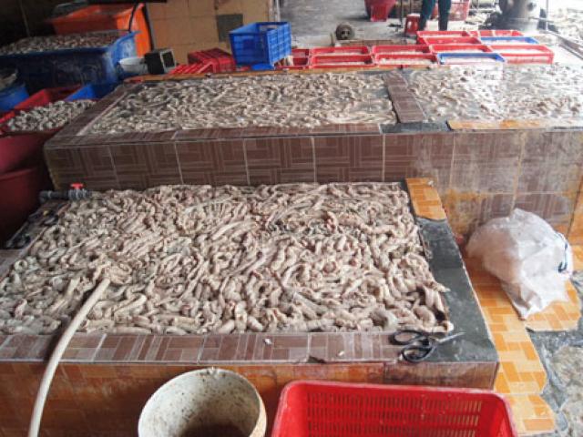 Pháp luật - Món đồ không ngờ cất giấu trong 900kg dạ dày lợn