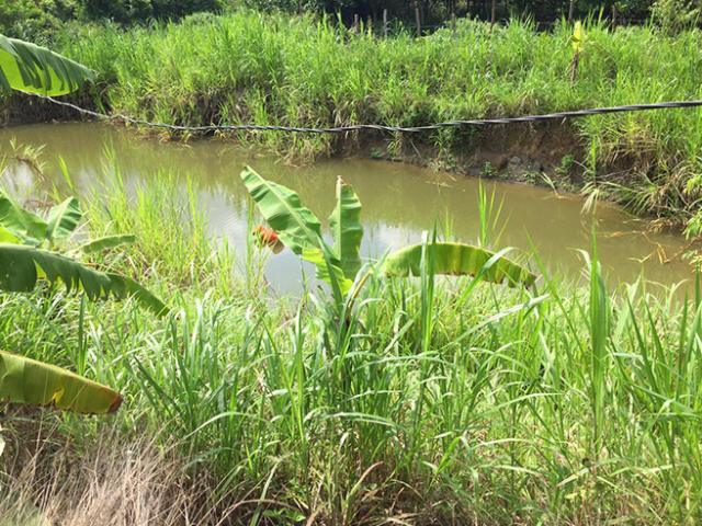 Tin tức trong ngày - Cứu con, cả 2 mẹ con cùng gặp nạn tử vong