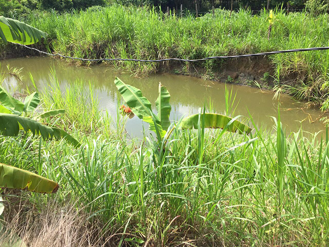 Nhảy xuống cứu con, 2 mẹ con đều bị đuối nước.