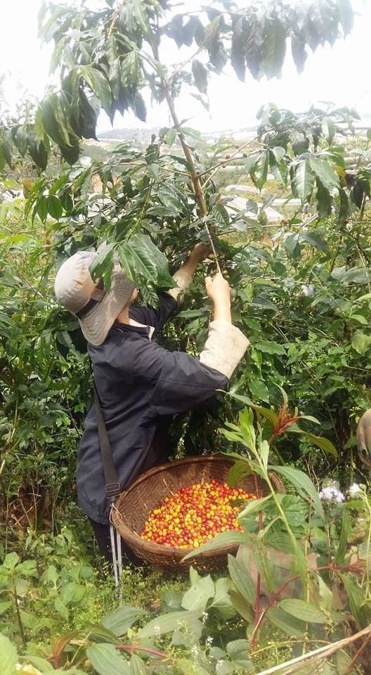 "Đưa nhau đi trốn" như Đen Vâu, cô gái phải nghĩ lại sau 2 năm vỡ mộng - 1