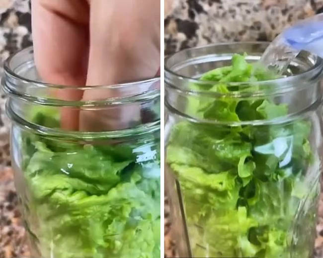 Blogger ẩm thực người Mỹ chia sẻ bí quyết giữ xà lách tươi xanh suốt 1 tháng trong tủ lạnh - 2