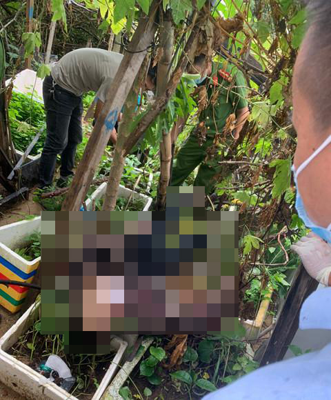 Bị nhóm của Vy, Thảo tìm đánh nên Trần Văn Tâm chạy trốn, rơi từ tầng 4 xuống vườn rau tử vong tại chỗ.