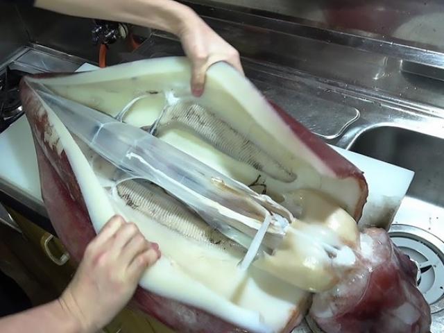 Thị trường - Tiêu dùng - Mực khổng lồ "như quái vật" ở Việt Nam, bắt về bán nửa triệu/kg