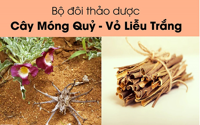 Hoại tử chỏm xương đùi có nguy hiểm không? Lời giải đáp từ chuyên gia - 3