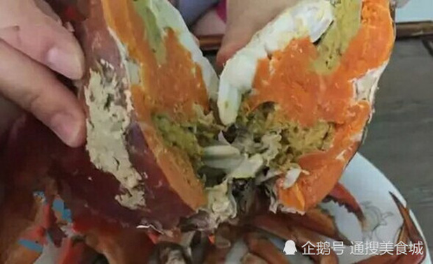 Trái lại với sự lấn cấn, lo lắng của Tiểu Cương, phần thịt của chú cua nhìn vô cùng hấp dẫn, chắc nịch, phần gạch đỏ chót khiến người xem phải thòm thèm.