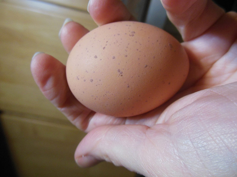 Mua trứng nên chọn quả có đốm không, nhớ 3 quy tắc này bạn sẽ mua được trứng ngon - 1