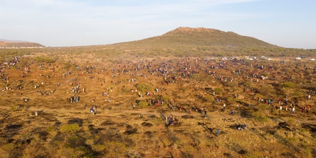 Trước tình hình trên Bộ Khai thác Mỏ của Nam Phi đã cử một nhóm chuyên gia địa chất và khai thác mỏ đến hiện trường thu thập mẫu đá và tiến hành phân tích.

