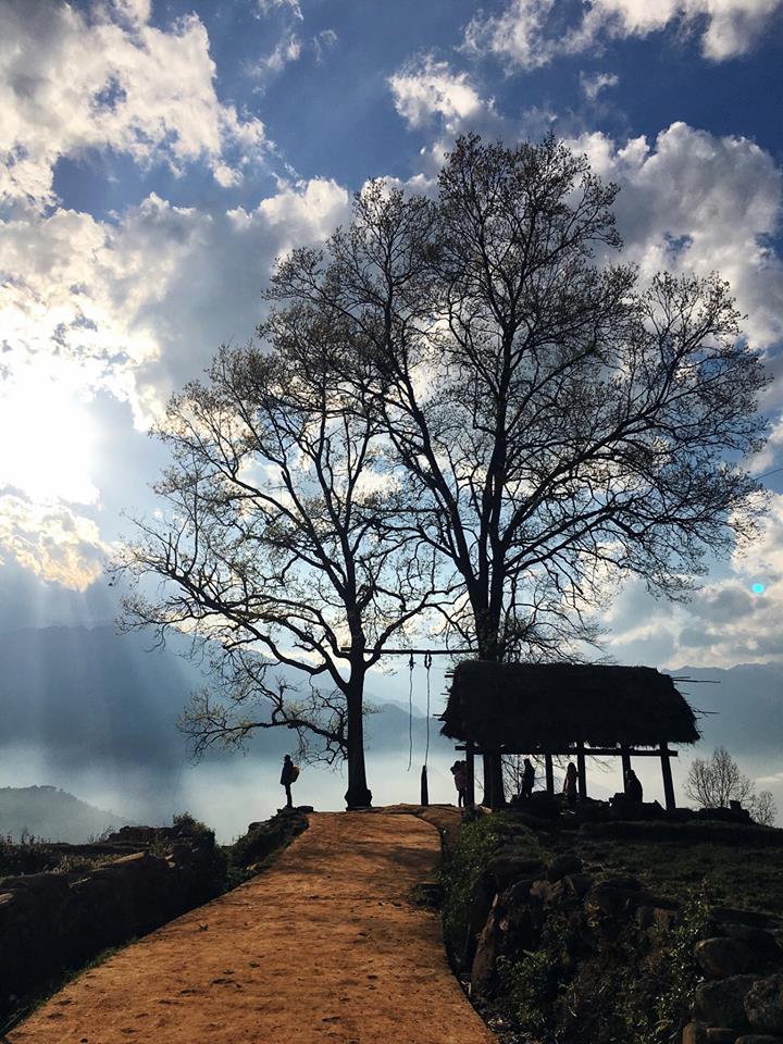 Khu vực hai cây dẻ cổ thụ (còn gọi là cây song song) vốn thu hút khách du lịch tới thôn Choản Thèn check-in (ảnh: internet)