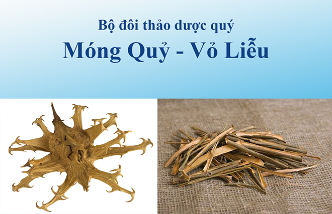 Đau nhức chân tay, tê bì ngón chân là dấu hiệu của bệnh gì? - 3