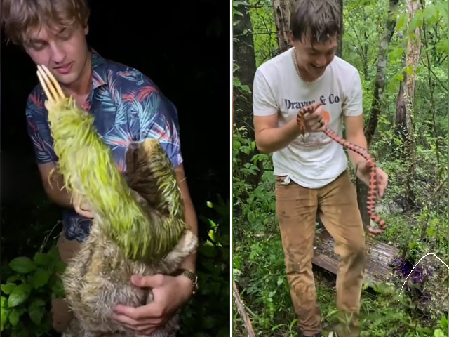 Clip: Anh chàng đam mê động vật khiến ai cũng "rùng mình" - 1
