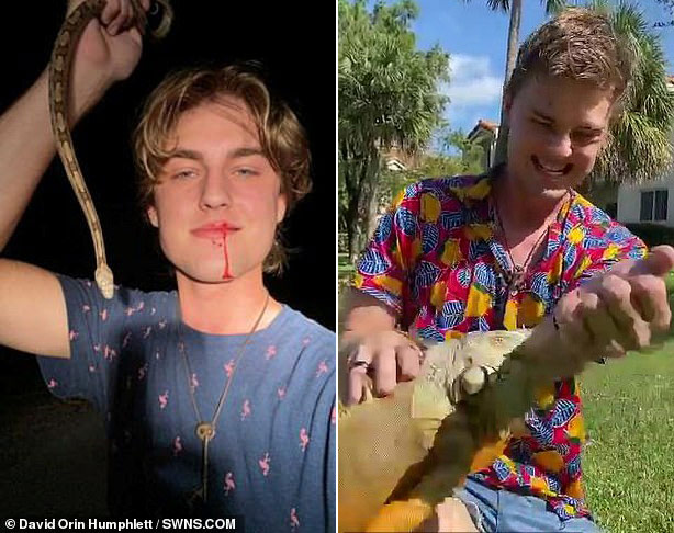 Clip: Anh chàng đam mê động vật khiến ai cũng "rùng mình" - 2