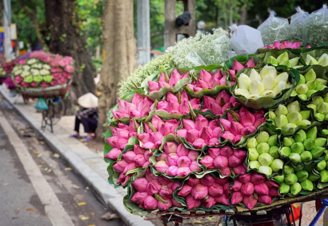 Hoa sen có hương thơm ngát, đẹp mắt. Ảnh minh họa.
