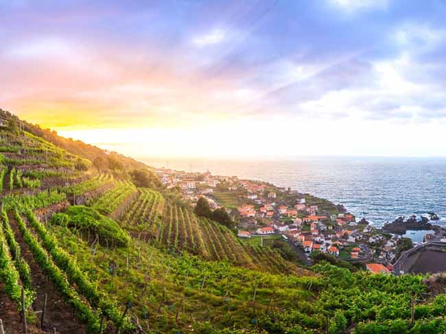 13. Đảo Madeira cũng nổi tiếng với rượu vang. Có rất nhiều chuyến tham quan và du khách có thể nếm thử rượu ngay tại nơi sản xuất.
