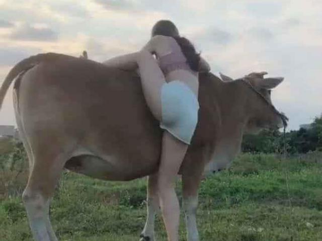 Thời trang - Diện quần ngắn, áo ngực đi chăn bò, các hot girl bị chê cười vì mặc "lạc quẻ"