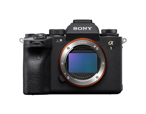 Sony Alpha 1 và lens 200 – 600mm G – Bộ đôi hoàn hảo cho chụp siêu tốc chất lượng cao - 1