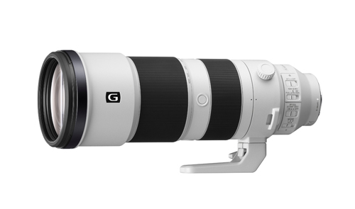 Sony Alpha 1 và lens 200 – 600mm G – Bộ đôi hoàn hảo cho chụp siêu tốc chất lượng cao - 2