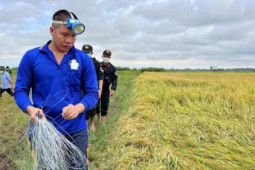 Nam thanh niên gài bẫy chuột bằng điện chết người, giấu thi thể nạn nhân