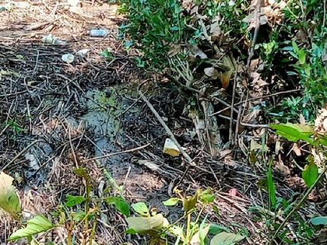 Tin tức trong ngày - Bình Phước: Tìm thấy thi thể nữ sinh mất tích khi đi học thêm về