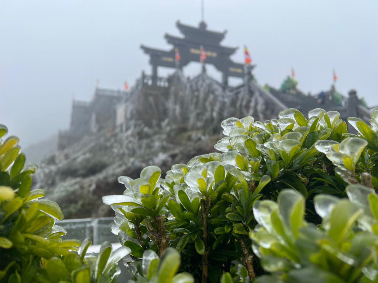 Frost suddenly covered the top of Fansipan when the temperature dropped to -1 degrees Celsius - 1