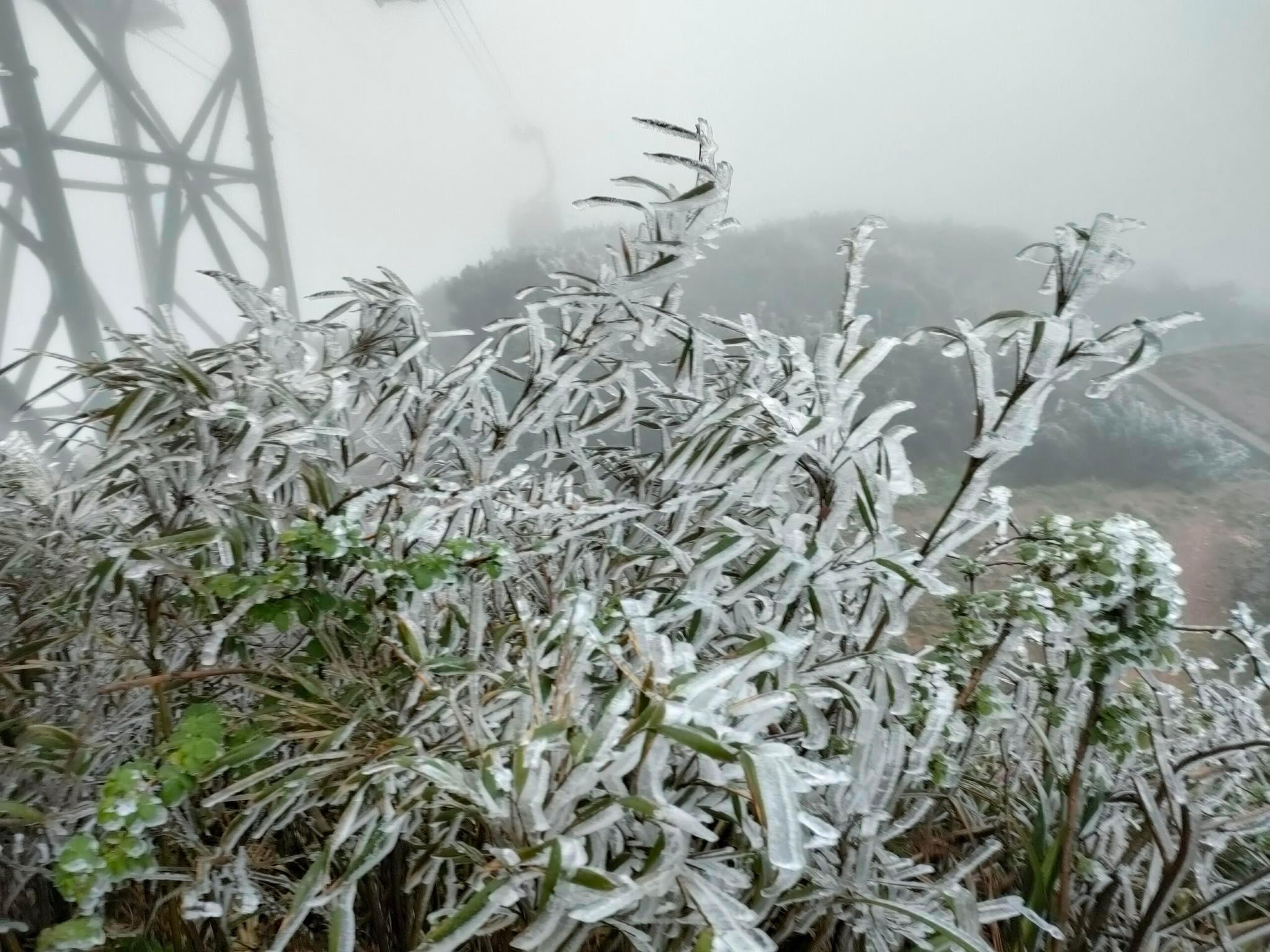 Frost suddenly covered the top of Fansipan when the temperature dropped to -1 degree Celsius - 2