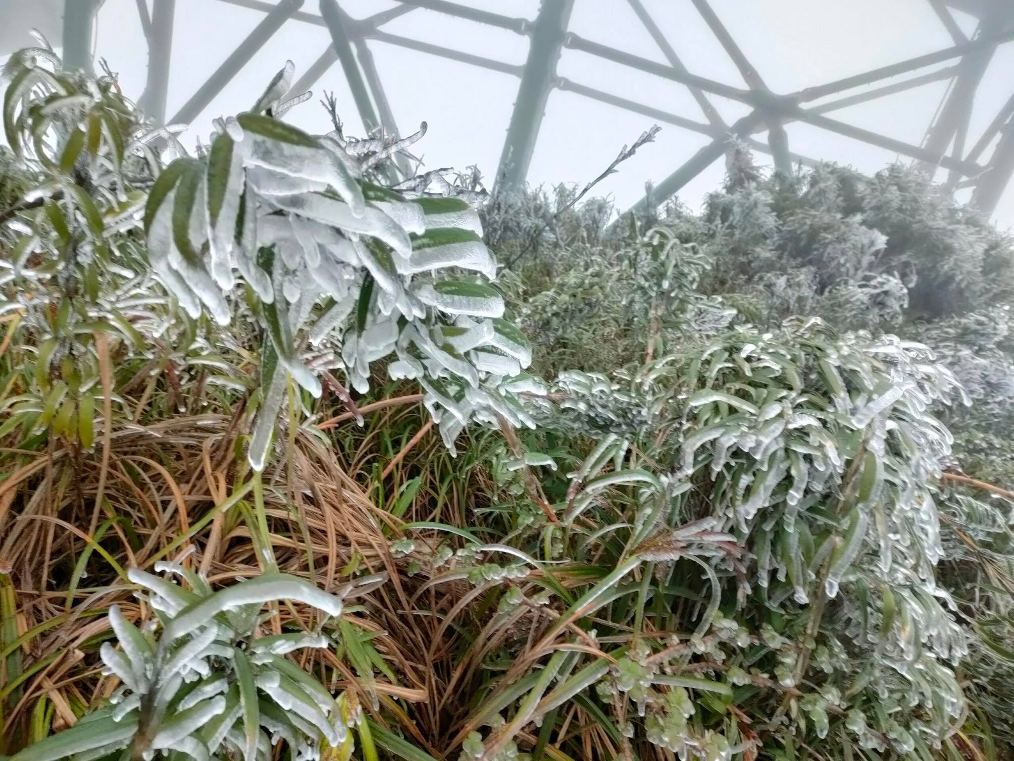 Frost suddenly covered the top of Fansipan when the temperature dropped to -1 degrees Celsius - 3 degrees