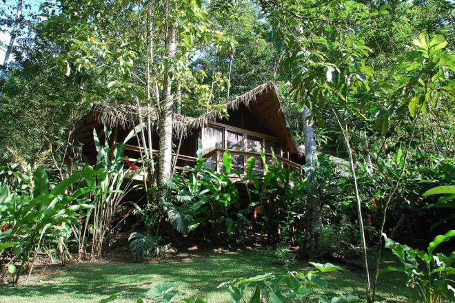 11 of the most beautiful forest hotels in the world, impressive with names from Vietnam - 8