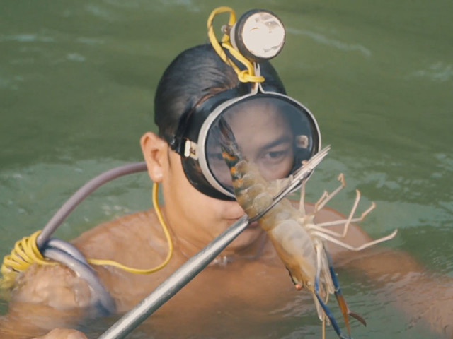 Media - Video: Theo chân ‘người nhái’ xiên tôm càng trên sông Đồng Nai