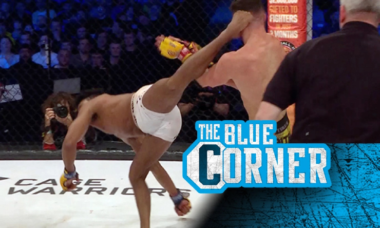 Stunned the hook "scorpion of Ibrahimovic", nominated for the best MMA knock-out of the year - 1