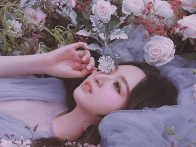 Kinh doanh - Ái nữ triệu đô nhà ông Đỗ Anh Dũng đang đảm nhiệm hàng loạt chức danh tại Tân Hoàng Minh