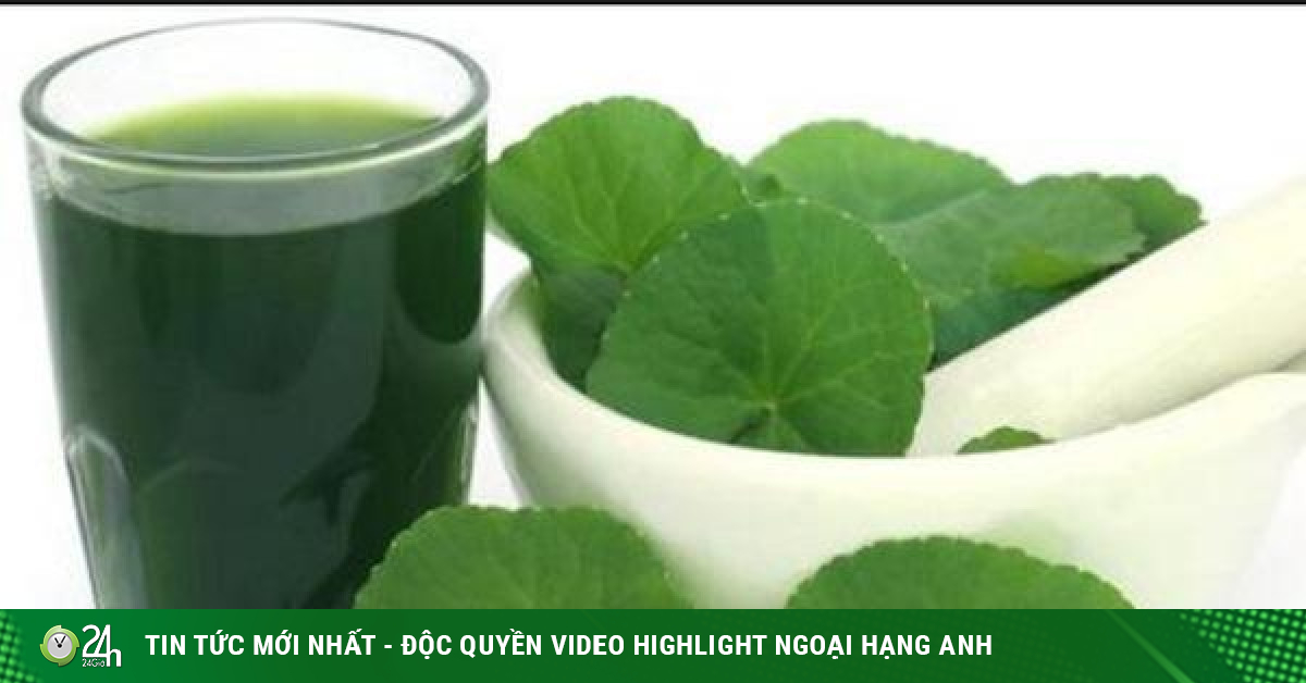 The cooling gotu kola juice can also turn into a ‘poison’ if taken this way