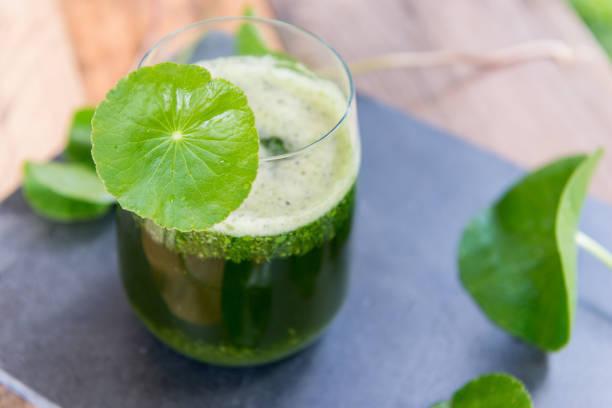 Cool cooling gotu kola juice can also turn into 'poison' if taken this way - 2