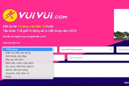 Công nghệ thông tin - "Ông lớn" bán lẻ TGDĐ lại manh nha "đẻ" thêm một sàn TMĐT mới