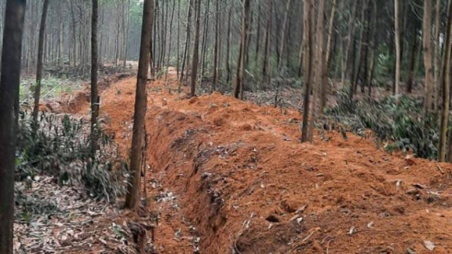 Người dân Cẩm Lĩnh, Ba Vì, Hà Nội tách thửa đất rừng không xác định nguồn gốc để bán
