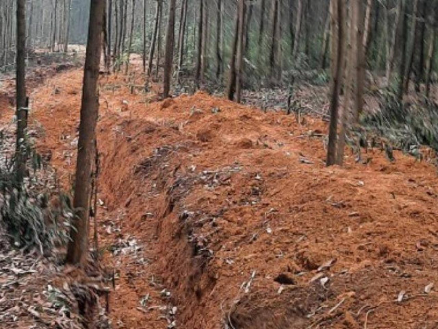 Kinh doanh - Không "hợp thức hoá" đất đai mua bán không có "sổ đỏ" từ 2008 đến nay