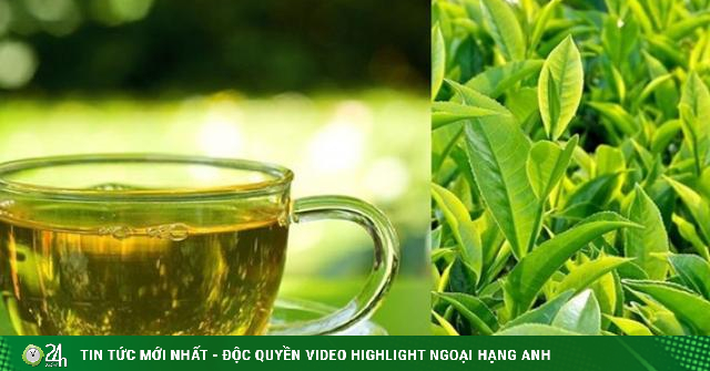 Drinking green tea at these 4 times is better than tonic, reducing the risk of diabetes, heart disease and cancer-Health