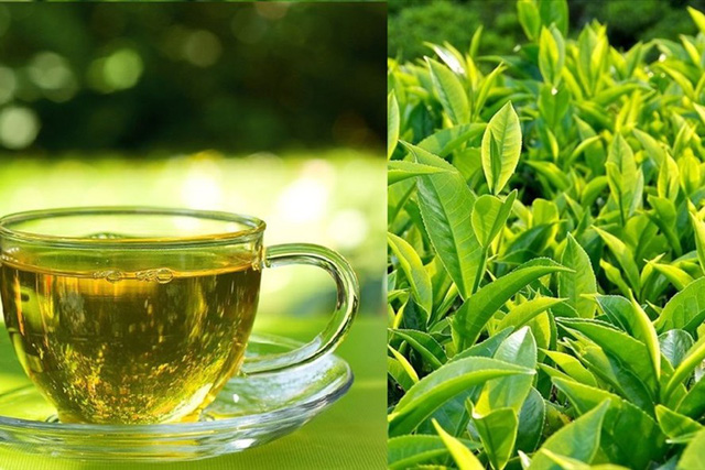 Drinking green tea at these 4 times is better than tonic, reducing the risk of diabetes, heart disease and cancer - 1