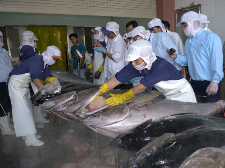 Tại phân khúc thị trường thịt/loin (thịt thăn cá ngừ) cá ngừ đông lạnh HS030487, Việt Nam đang là nguồn cung lớn nhất cho thị trường này. 
