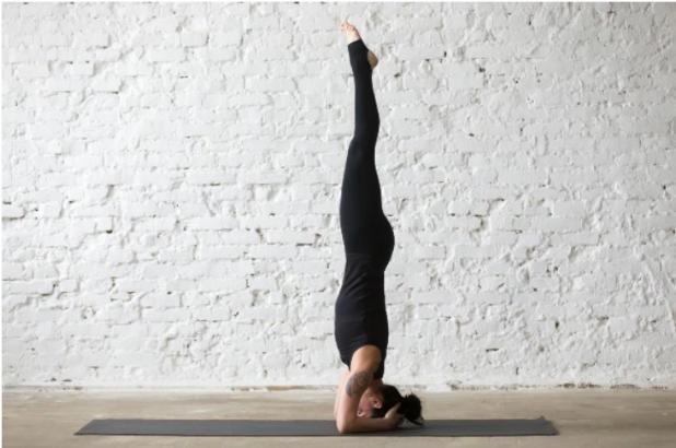 Ở tư thế Sirsasana, dòng chảy của máu không bị cản trở bởi động tác gập cổ, và do đó, lưu lượng máu đến não sẽ tăng lên đáng kể.