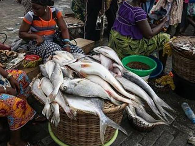 Cận cảnh khu chợ bán hải sản kích thước ”khủng”, giá rẻ như rau gây bất ngờ