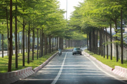 Tin tức trong ngày - Cảnh khác lạ trên tuyến đường từng gây “sốt” ở Hà Nội