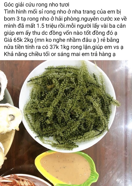 Loại “rau của nhà giàu” được bán tràn lan với giá “siêu rẻ”, chỉ từ 35 nghìn đồng/kg - 4