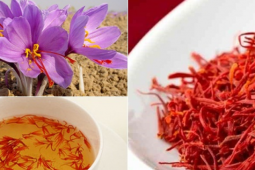 Ẩm thực - 5 loại gia vị giúp bạn tăng ham muốn trong "chuyện ấy"