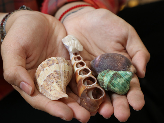 Tin tức trong ngày - Cô gái khiếm khuyết thay đổi số phận bằng tranh vỏ ốc