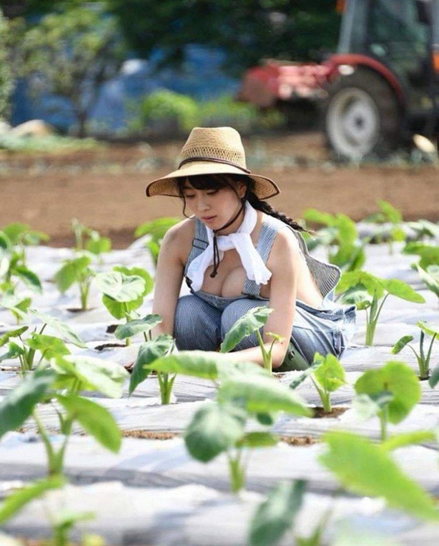 Wearing cool clothes to pick oranges, grow vegetables, many beautiful people are criticized "lost"  - 3